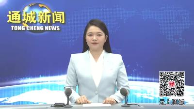 视频-通城县委常委会2024年第23次会议召开 传达学习习近平总书记系列重要讲话精神 