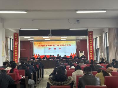 通城县北港镇召开平安稳定工作暨近期重点工作部署推进会