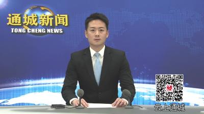 视频-【乡镇巡礼·五里篇③】五里镇：“竹海”生“金” 开辟乡村振兴新路径