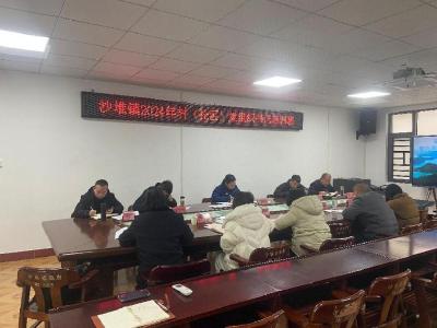 通城县沙堆镇开展2024年村（社区）党组织书记培训活动