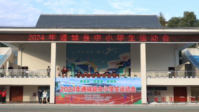 2024年通城县中小学生运动会开幕