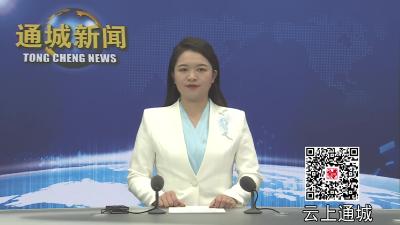 视频-通城县召开2024年县委农村工作领导小组第六次会议