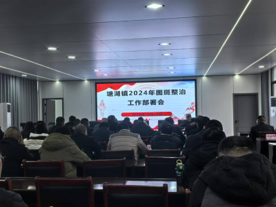 通城县塘湖镇召开2024年图斑整治工作部署会