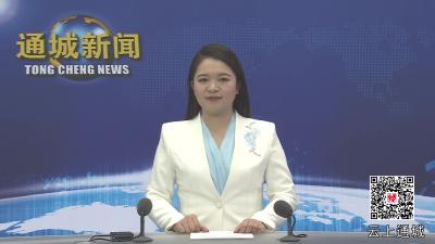 视频-【聚焦小流域综合治理③】北港镇：酿酒产业，如何从富一家到富万家？