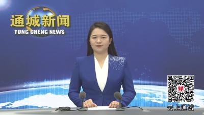 视频-2024年通城县“铸牢中华民族共同体意识 谱写中国式现代化通城篇章”演讲比赛（决赛）举行 