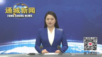 视频-朱庆刚来通城调研基层人大代表联络站建设和共同缔造工作 