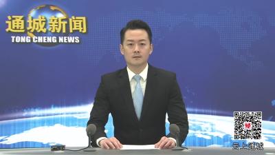 视频-通城县委常委会2024年第25次会议召开 