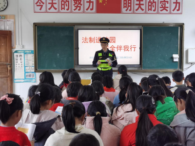 通城县大坪乡达丰完小开展宪法宣传周和交通安全教育活动