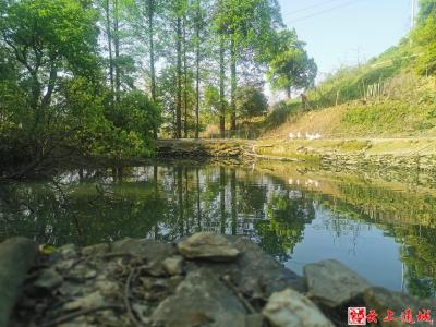通城：青绿岳姑 幽林古韵