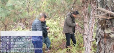 通城县石南镇：图斑整改工作再发力