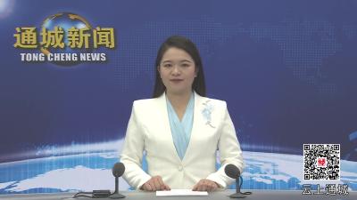 视频-2024年第19次通城县政府常务会议召开