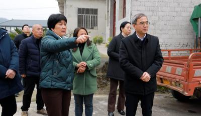 朱庆刚来通城调研基层人大代表联络站建设和共同缔造工作