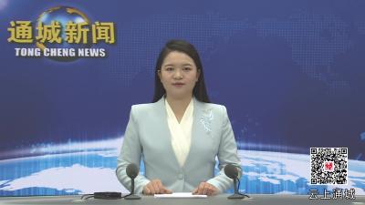 视频-通城县党外知识分子联谊会第二次会员代表大会召开 