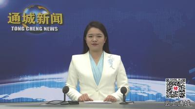 视频-杨修伟调研城市更新与民生实事推进情况 