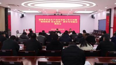视频-通城县召开安全生产治本攻坚三年行动暨“查除隐患安全迎新”跨年专项整治调度会 