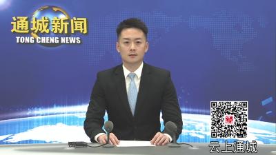 视频-【乡镇巡礼·五里篇④】五里镇尖山村：发展艾叶工厂 助力乡村振兴