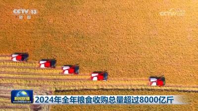 2024年全年粮食收购总量超过8000亿斤