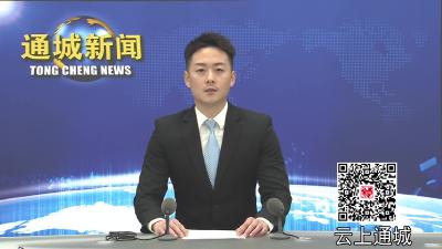 视频-【乡镇巡礼·四庄篇④】四庄乡：道路改造换新颜 铺就乡村振兴路