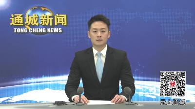 视频-通城县委常委会2024年第24次会议召开 扎实做好平安稳定和安全生产各项工作