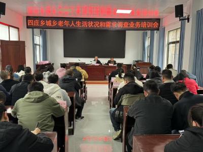 通城县四庄乡开展城乡老年人生活状况和需求调查业务培训会