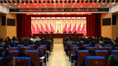县委平安通城建设领导小组2024年第四次全体（扩大）会议暨全县公安工作会议召开