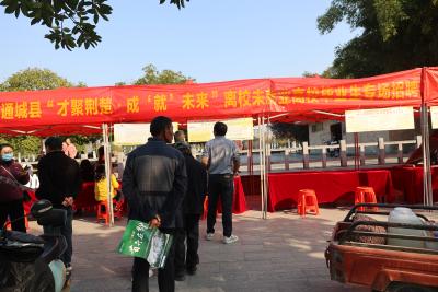 通城县就业中心开展2024年离校未就业高校毕业生服务攻坚行动招聘活动