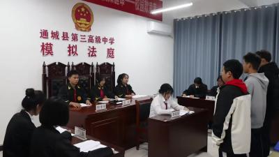 视频-通城三中开展2024年“12·4”国家宪法日主题活动 