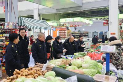 通城县市场监督管理局开展2025年“两节”“两会”期间食品安全专项检查