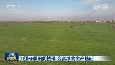 加强冬季田间管理 夯实粮食生产基础