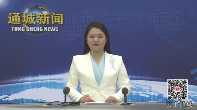 视频-【乡镇巡礼·沙堆篇①】通城县沙堆镇：聚力共同缔造 共建美好家园 