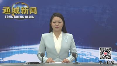 视频-通城县油茶产业联合党委2024年第4次会议召开 