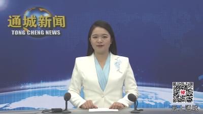 视频-杨修伟调研教联体、专门学校建设和校园安全工作