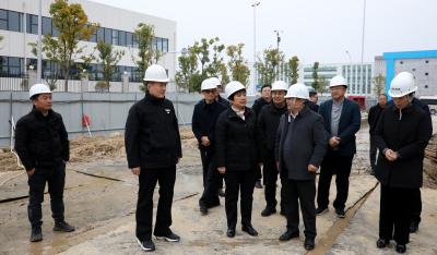 通城县领导调研开发区在建项目推进情况