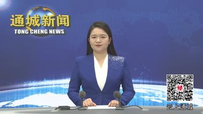 视频-通城县举行第二十四届“世界华人学生作文大赛”代颁奖仪式 