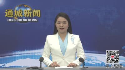 视频-【乡镇巡礼·关刀篇⑥】关刀镇杨田村：共同缔造齐聚力 乡村风貌焕新颜