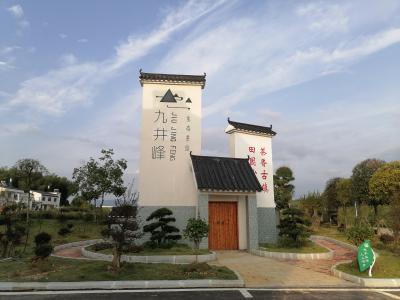 【乡镇巡礼·沙堆篇②】九井峰生态茶园：茶旅融合 赋能乡村振兴