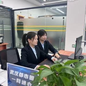 高频办理事项一天内办结 通城“网办”服务再升级