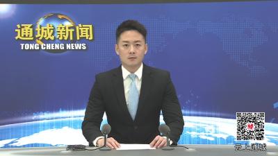 视频-刘中英督办推进北港镇小流域综合治理和再生物资项目工作 