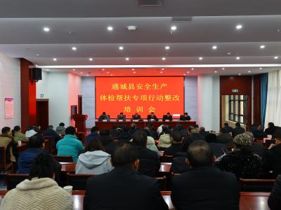 通城县召开安全生产体检帮扶专项行动整改培训会