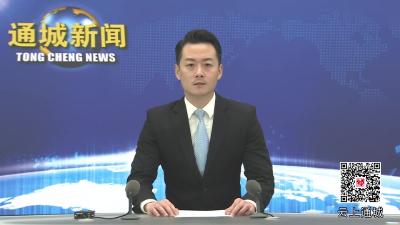 视频-省人社厅赴通城县开展人社工作综合督查调研工作座谈会召开 