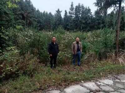 通城县关刀镇开展农村集体“三资”清产核资专项督办行动