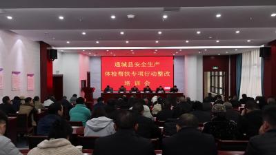 视频-通城县召开安全生产体检帮扶专项行动整改培训会 