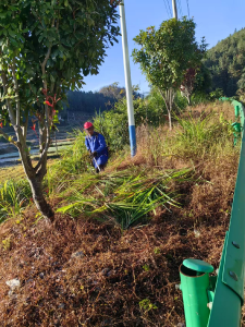 通城县塘湖镇：以“清”促“防” 构筑森林防火“安全墙”