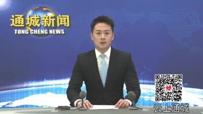 视频-县委平安通城建设领导小组2024年第四次全体（扩大）会议暨全县公安工作会议召开