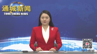 视频-通城县举办2025“荆楚购”助农产品迎新年赶大集暨隽厨大赛活动