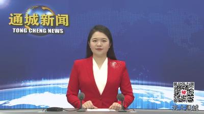 视频-【盘点2024·通城这一年】通城：交通改善成效显著 勾勒城乡出行“新画卷” 