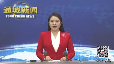 视频-【聚焦两会】政协委员分组讨论政协工作报告 