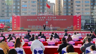 迎新春 办年货 通城县2025年促消费活动掀起消费新热潮