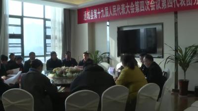 视频-【聚焦两会】通城县第十九届人民代表大会第四次会议各代表团会议召开 