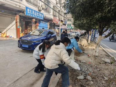 通城县麦市镇：志愿清风拂大街，洁净之花绽芳华